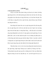  Phát triển hoạt động kinh doanh thẻ tại Ngân hàng thương mại cổ phần Kỹ Thương Việt Nam