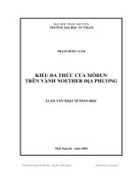 Kiểu đa thức của môđun trên vành noether địa phương