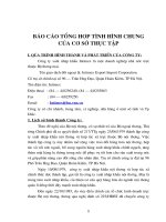 Báo cáo tổng hợp: Công ty xuất nhập khẩu Intimex 