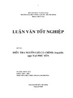  Điều tra nguồn lợi cá chình (Anguilla spp) tại Phú Yên