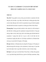 Tác động của berberin và palmatin trên trí nhớ hình ảnh và không gian của chuột chắt