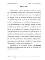 Xây dựng chiến lược định vị thị trường cho các sản phẩm của nhà máy Nhôm Đông Anh trên thị trường Hà Nội