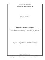 Nghiên cứu đặc điểm sinh học, sâu bệnh hại và sử dụng chất điều hoà sinh trưởng đối với hồng không hạt bảo lâm - tại lạng sơn