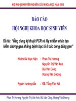 Ứng dụng kỹ thuật PCR và lây nhiễm nhân tạo kiểm chứng gen kháng bệnh bạc lá ở các dòng đẳng gen