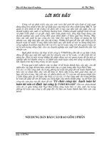 Kế toán bán hàng & xác định kết quả kinh doanh ở C.ty TNHH Sài Gòn Xanh 2