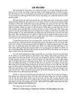 Kế toán vật liệu tạo công ty xây dựng công trình giao thông 810