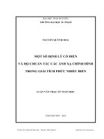 Một số định lý cổ điển và họ chuẩn tắc các ánh xạ chỉnh hình trong giải tích phức nhiều biến