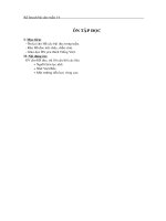 Các tiết ôn bài - Tuần 14