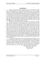 Hoàn thiện giải pháp đào tạo và phát triển nguồn nhân lực tại Công ty lữ hành Vitours