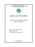 Nghiên cứu thử nghiệm chế biến rượu vang chuối