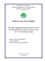 Phát hiện marker microsotellite từ cơ sở dữ liệu trình tự est của cây xoài