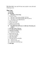 Chọn một DN hoặc một sản phẩm và nêu chiến dịch Marketing của nó