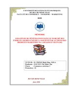 Memoire Nguyen Thi Minh Thu-Penetration a l'international.pdf