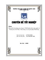 Phát triển thị trường của Công ty TNHH phát triển Công nghệ và thương mại Tân Phúc - Thực trạng và giải pháp marketing