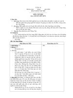 Giáo án Tiếng Việt khối 2 - Học kì II - Tuần 19