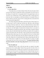 Ứng dụng Marketing Online để thu hút nhà đầu tư trên thị trường chứng khoán của Công ty Cổ phần Chứng khoán Chợ Lớn (CLSC)