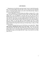 Hoàn thiện công tác Marketing tại công ty Cao Su Sao Vàng