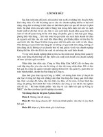 Kế toán thành phẩm- tiêu thụ và xác định kết quả tại Công ty MĐC.doc