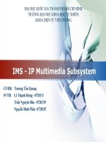 IMS-IP multimedia subsystem