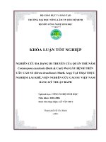 Nghiên cứu  đa dạng di truyền của quần thể nấm