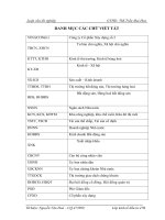 Hoạt động đầu tư kinh doanh bất động sản của Công ty Cổ Phần Xây Dựng số 2 (VINACONEX No 2) thực trạng và giải pháp