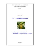  Cây và hương vani dùng trong thực phẩm