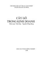  Cây gỗ trong kinh doanh
