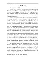 Giải pháp nâng cao chất lượng hoạt động tài trợ XNK theo phương thức thanh toán tín dụng chứng từ tại NHCT chi nhánh Hoàn Kiếm