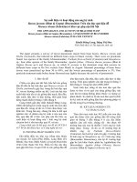 Sự xuất hiện và hoạt động của ong ký sinh