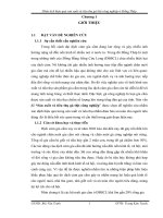 Sản xuất và tiêu thụ gà thịt công nghiệp