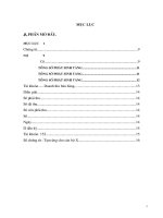 Hoàn thiện công tác kế toán NK NVL tại C.ty Xây dựng Sông Đà số 2