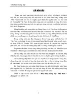 Hoạt động thương mại Việt Nam - Singapore