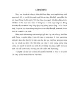 Tình hình tổ chức và tài chính của công ty liên doanh Unilever Việt Nam