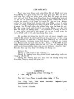 Những hoạt động kinh doanh xuất nhập khẩu của Công ty VILEXIM