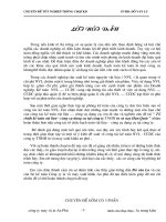 Tổ chức kế toán vật liệu - công cụ dụng cu tại C.ty may Hưng Việt