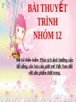 Phân tích ảnh hưởng của lối sống, văn hóa của giới trẻ Việt Nam đối với sản phẩm thời trang