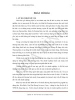 Chiến lược xây dựng và phát triển thương hiệu công ty cp xd & kinh doanh địa ốc hòa bình (file bdf)