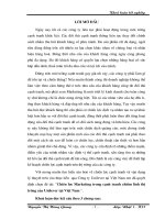 Chiến lược Marketing trong cạnh tranh chiếm lĩnh thị trường của Unilever tại Việt Nam