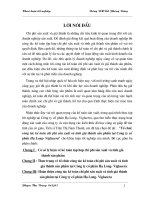 Tổ chức công tác kế toán CPSX và tính GTSP tại Cty cổ phần Hạ Long- Viglacera