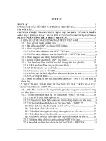 Một số giải pháp nhằm hoàn thiện công tác thẩm định dự án đầu tư phát triển giáo dục trong hoạt động tín dụng tại Sở Giao dịch I – Ngân hàng Phát triển Việt Nam .doc