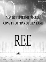 Phân tích tình hình tài chính công ty cổ phần cơ điện lạnh REE