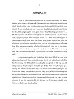 Hoàn thiện kế toán Tài sản cố định và các biện pháp tăng Tài sản cố định tại công ty cổ phần bao bì xi măng Hải Phòng