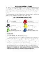 high performance teams 