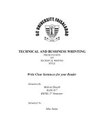 TECHNICAL AND BUSSINESS WRINTING