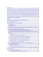 Đầu tư phát triển mạng lưới y tế nông thôn bằng nguồn vốn ngân sách nhà nước .doc