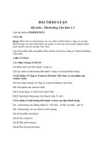 Phân tích sự ảnh hưởng của các nhân tố đến hành vi ứng xử của tập khách hàng của một nhãn hiệu sản phẩm cụ thể của một doanh nghiệp đang kinh doanh trên thị trường Việt Nam. Lựa chọn nhã