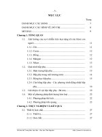 Nghiên cứu khả năng hấp phụ một số ion kim loại nặng trên vật liệu hấp phụ chế tạo từ bã mía và thăm dò xử lí môi trường