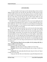 Đẩy mạnh hoạt động tiêu thụ sản phẩm trên thị trường miền Bắc ở công ty cổ phần Cao Su Sao Vàng NOTE