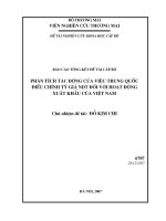 Phân tích tác động của việc Trung Quốc điều chỉnh tỳ giá nhân dân tệ đối với hoạt động xuất khẩu của Việt Nam