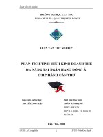 Phân tích tình hình kinh doanh thẻ Đa năng tại Ngân hàng Đông Á chi nhánh Cần Thơ